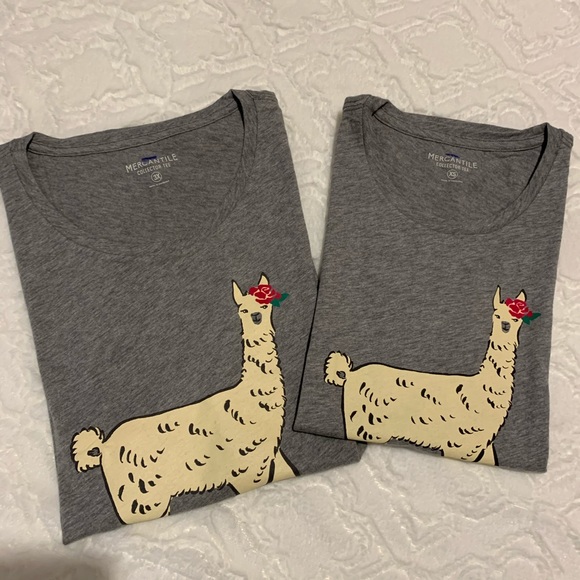 J. Crew Mercantile Llama Collector Tee Size XS, 3X - Picture 4 of 11